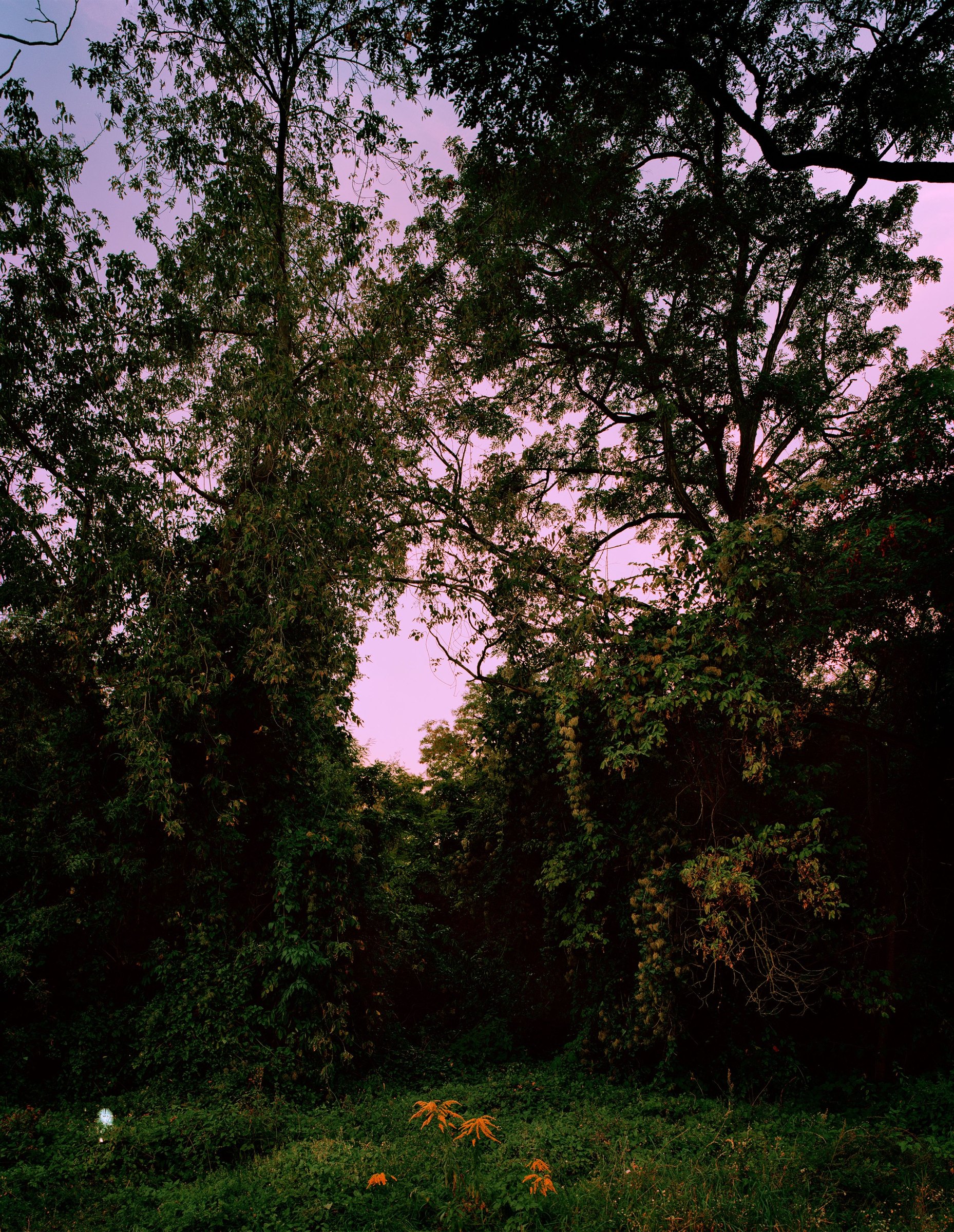 POSTROMANTICS, photograph