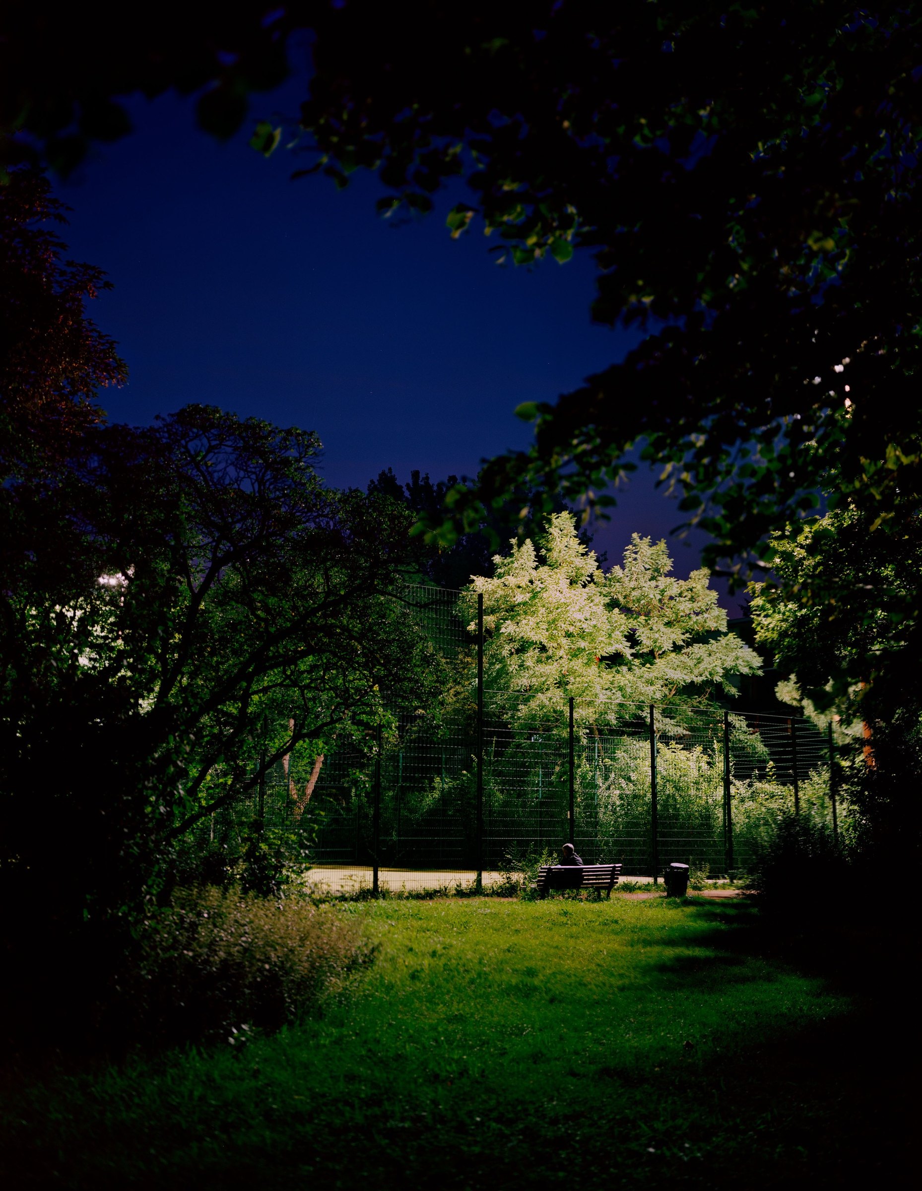 POSTROMANTICS, photograph