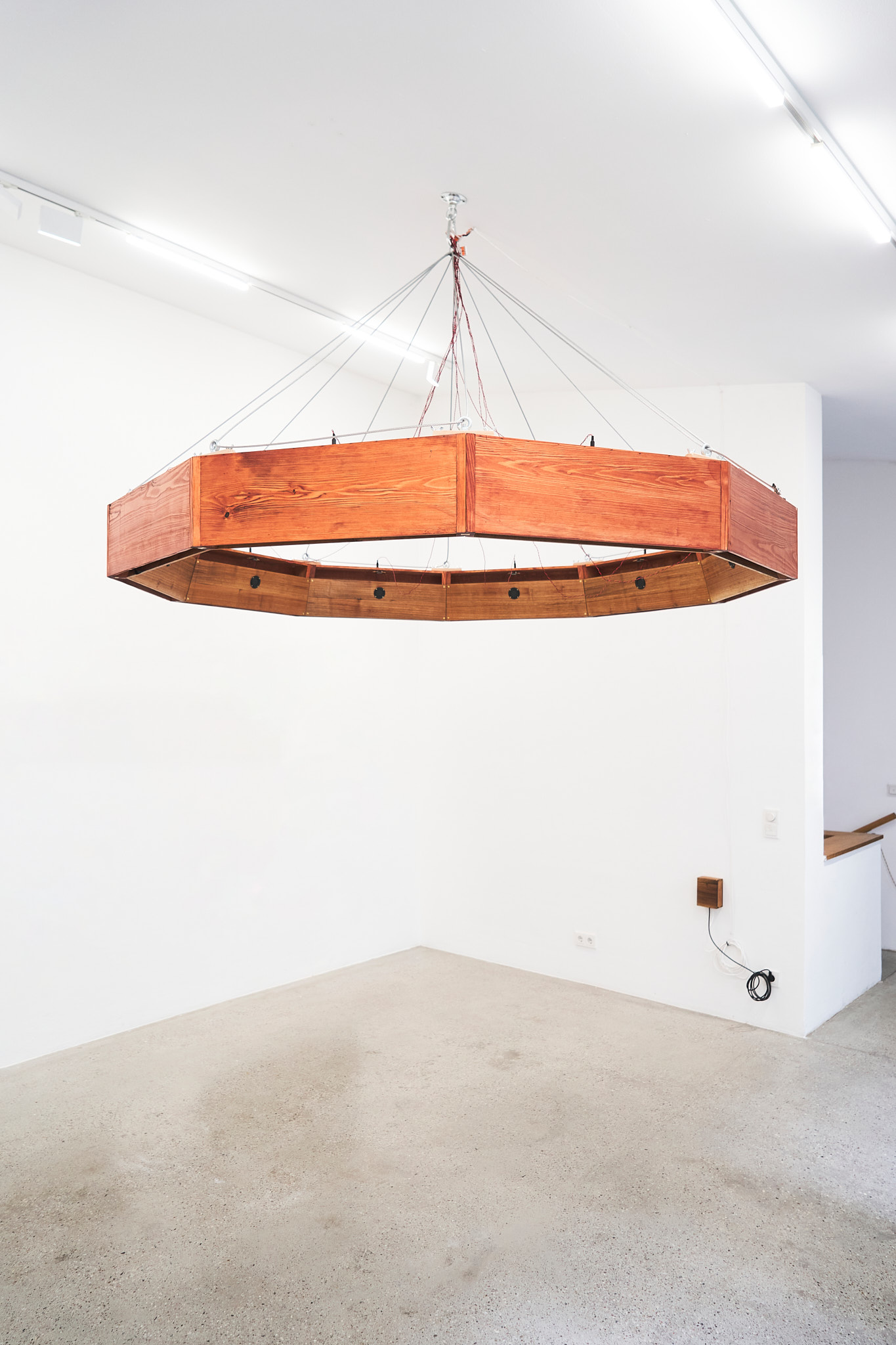 Extinct Birds series, installation view