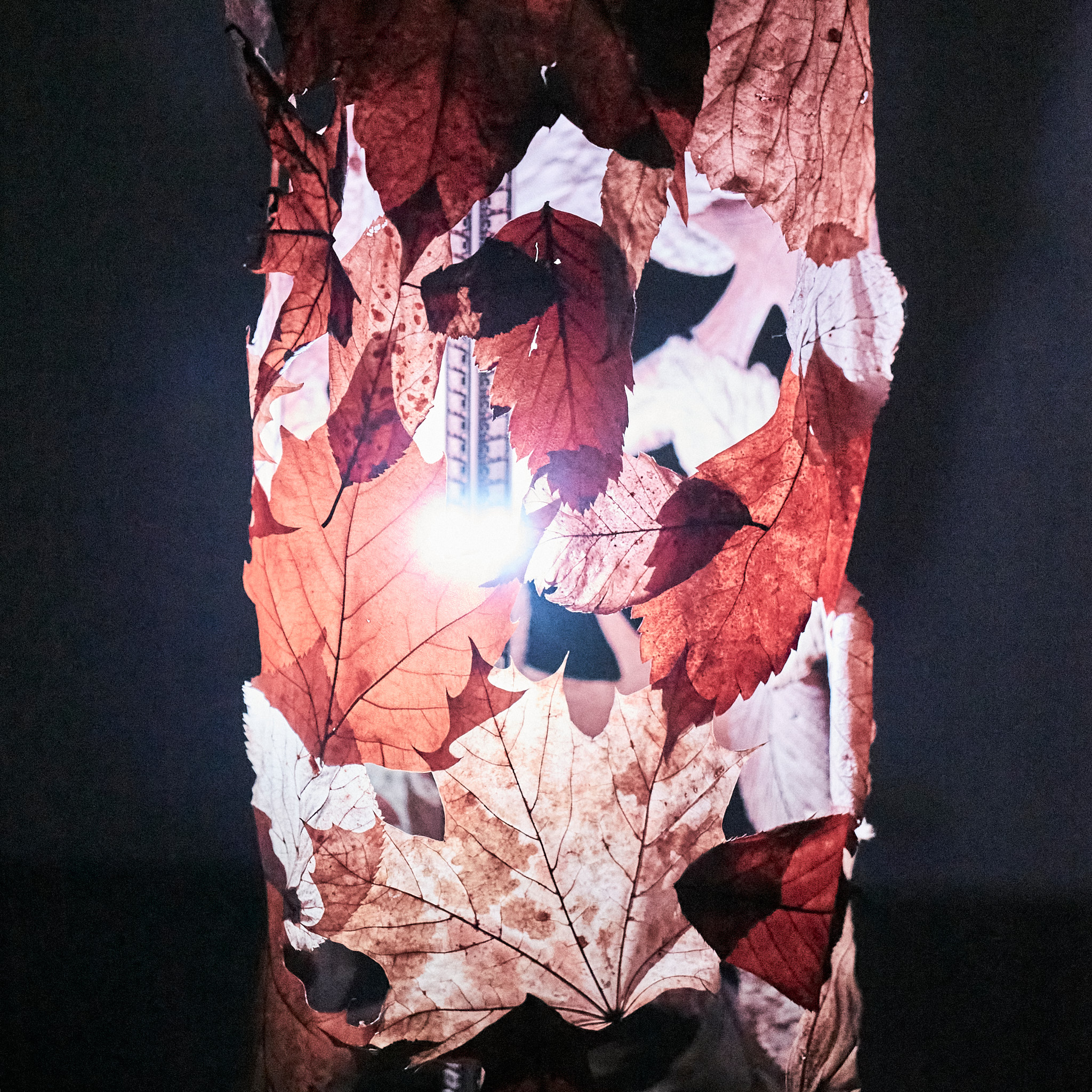 LOST/FOUND, detail