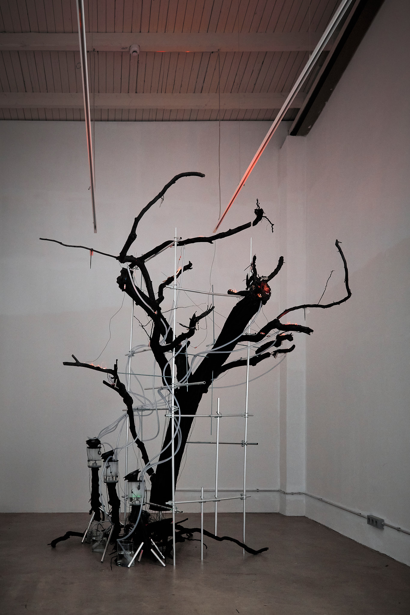 Offenbarung, installation view